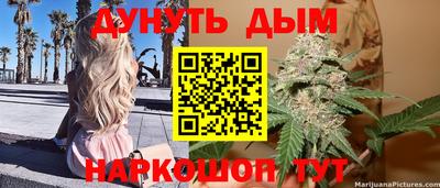 гидропоника Дубна