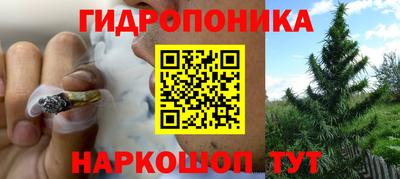 гидропоника Дубна