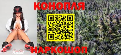 гидропоника Дубна