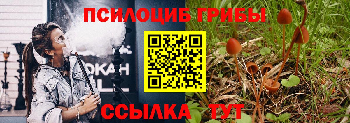 Галлюциногенные грибы мицелий  Вход с VPN  Миллерово  Псилоцибиновые грибы Cubensis 