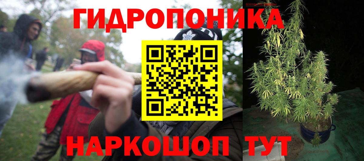 Бошки марихуана ГИДРОПОН  Вход с VPN  Миллерово  Конопля OG Kush  МАРИХУАНА семена 